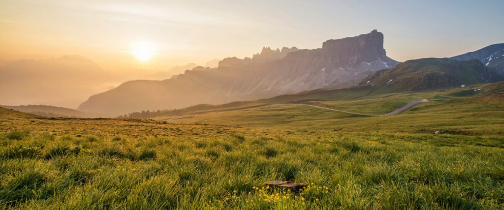 a grassy field with a mountain in the background a grassy field with a mountain in the background